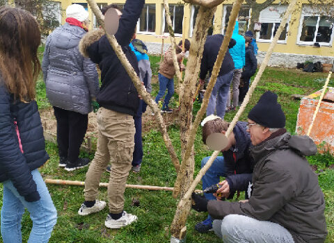 Atelier jardinage : 7 décembre