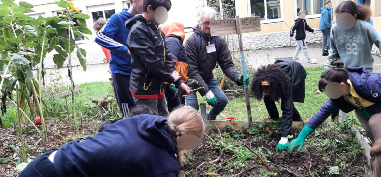 Atelier jardinage 3 octobre 2024: 100 patates!