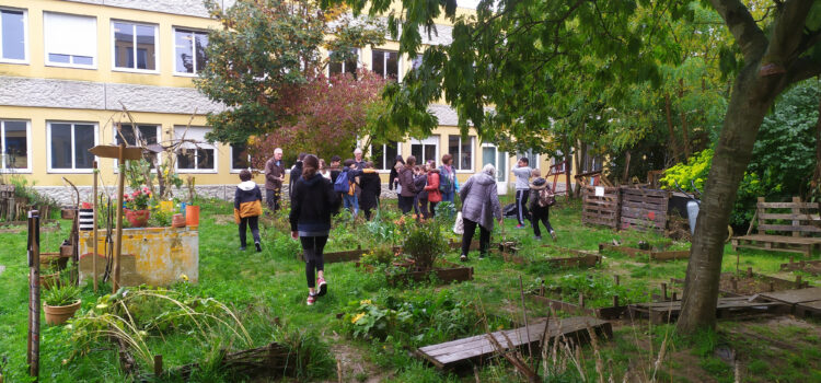 Atelier jardinage 17 octobre 2024 Le thème sur les « arbres » sera abordé cette année avec nos jardiniers en herbe